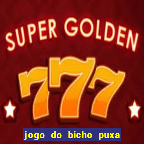 jogo do bicho puxa de dona maria